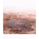 Thảm màu sắc bàn chân (Kiện 200 cái) - Ảnh 4