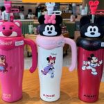 Ly giữ nhiệt Disney (Kiện 40 cái)