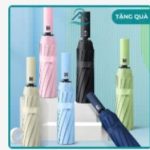 Ô UV tự động 10 nan (Kiện 60 cái)