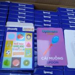 Bộ thẻ học song ngữ (Kiện 100 bộ)