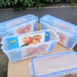 Hộp nhựa chữ nhật Sina L931 (Kiện 50 cái)