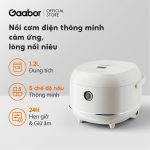 Gaabor - Nồi Cơm điện RC-30T01A