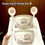 Bộ bát sứ 4 món ( kiện 48 cái ) ( hàng nguyên kiện )