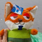 Cáo bông Nick (Kiện 100 con)