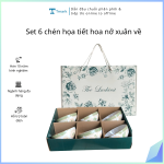 Set 6 chén họa tiết hoa nở xuân về (Kiện 14x3 bộ)(Hàng nguyên kiện)