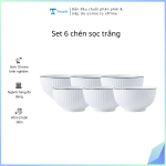 Set 6 chén sọc trắng (Kiện 14x3 bộ)(Hàng nguyên kiện)